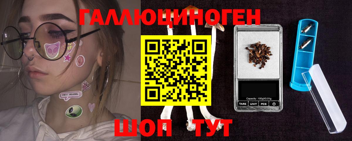 Галлюциногенные грибы MAGIC MUSHROOMS Камень-на-Оби